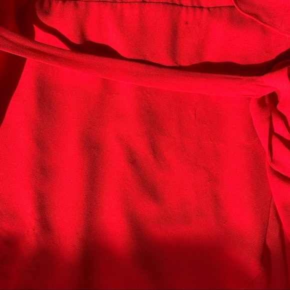 Naked Zebra Ruffle Sleeve Wrap Dress - Picture 6 of 9